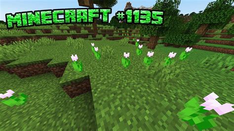 Für Tulpen mach ich fast alles Minecraft 1135 YouTube