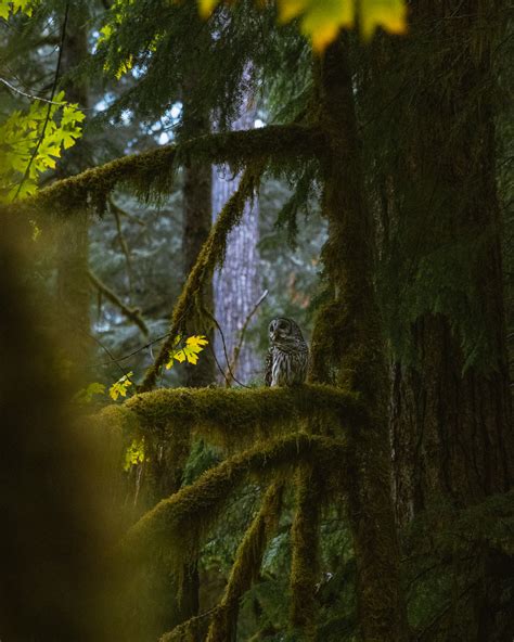 Visit Wall Creek Hot Springs In Oregon A Complete Guide To This