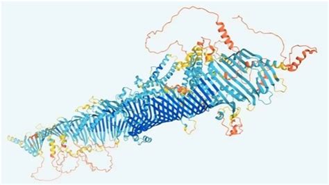 科学家借助ai技术破解蛋白质结构预测难题 2021年终科技盘点