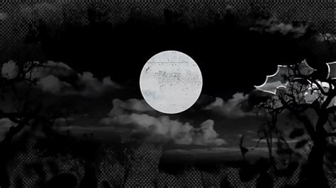 Sleeping Pussy Fuck Videos XVIDEOS