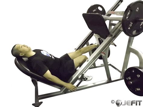 Single Leg Calf Press