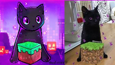 Endercat By Vruzzt On Deviantart