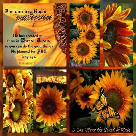 Pin By Teresa Duggan On Daily Blessings Sunflower Pictures Sunflower