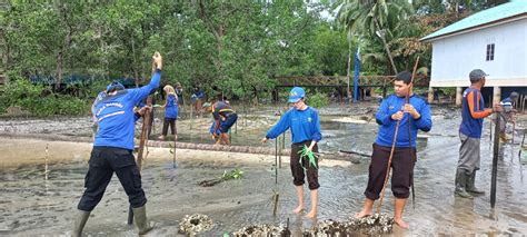 Lanal Dabo Singkep Tanam Ribuan Bibit Mangrove Di Singkep Pesisir