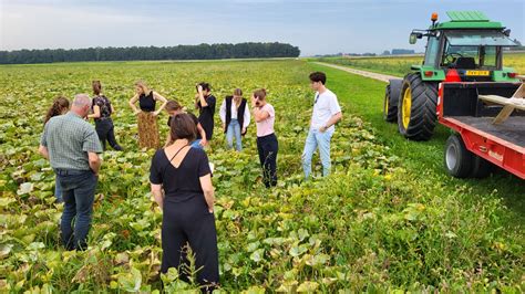 Alles Over Gewasrotatie Een Lupine Inspiratiehuis En Uitdagingen In De