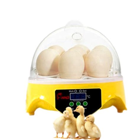 Chicken Egg Incubator Chicken Eggs Incubator And Grandado