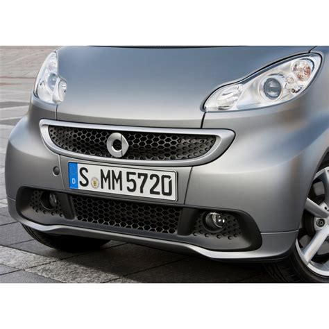 Ziergitter Kuehlergitter Unter My12 ForTwo 451 SmartKits SKs