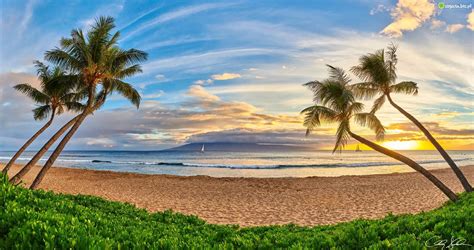 Zdjęcie Hawaje Wyspa Maui Plaża Kaanapali Beach Palmy Roślinność