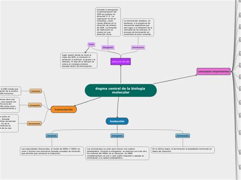 Dogma Central De La Biologia Molecular Mind Map