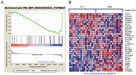 Figure 1 From COL1A1 Promotes Metastasis In Colorectal Cancer By