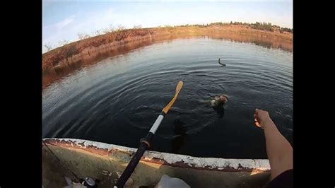 Fall Bass Fishingsan Joaquin River Youtube