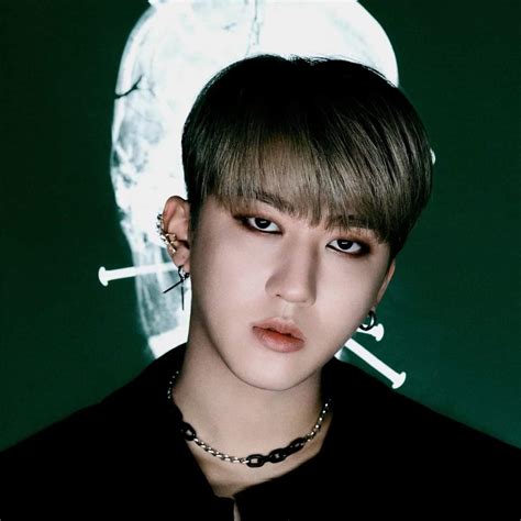 Changbin, Integrante de Stray Kids - Biografía y Datos Personales ...