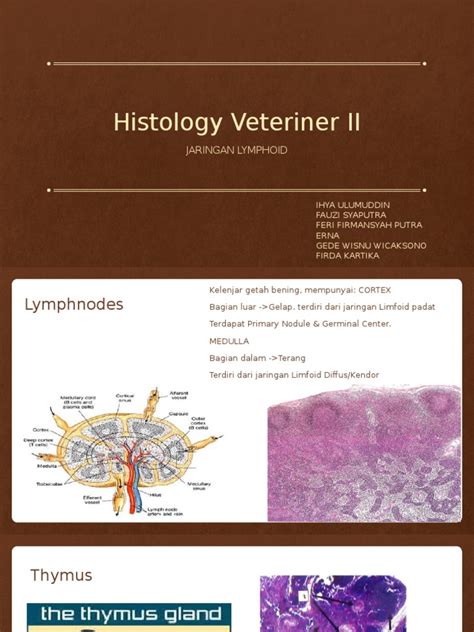 Pdf Histologi Ii Pptx Dokumen Tips