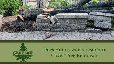 Does Homeowners Insurance Cover Tree Removal Atlanta Arbor