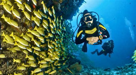 Scuba Diving in Goa | Book Online | Price - INR 1250/- | Trip Tradition