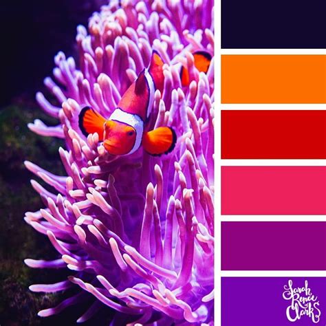 Coral Reef Color Swatch