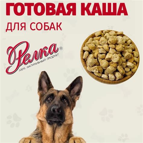 Категория: Корма для Собак - СибФермер