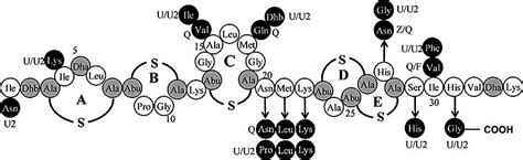 Structures Of Natural Variants Nisin A And Nisin Z And Putative Download Scientific Diagram