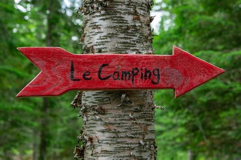 Primer plano de un letrero rojo en el tronco de un árbol en el bosque