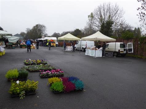 Flowers For Sale Omagh Variety Market Kenneth Allen Geograph Ireland