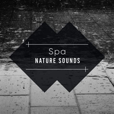 18 Spa Rain And Relaxing Nature Sounds White Noise Meditation Album