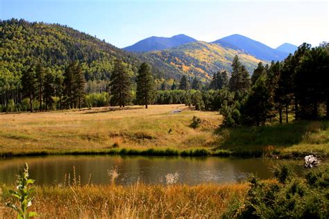 Lockett Meadow Inner Basin Flagstaff Arizona Lockett M Flickr