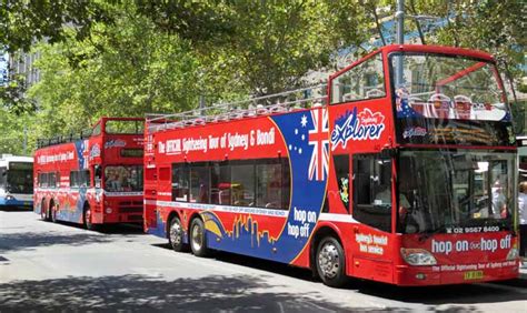 City Sightseeing Australia Showbus Bus Image Gallery