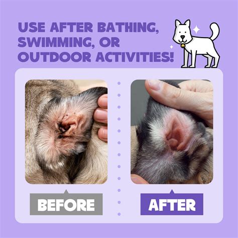 Dog Ear Cleaner Solution & Infection Treatment 4 Fl Oz | HICC Pet™