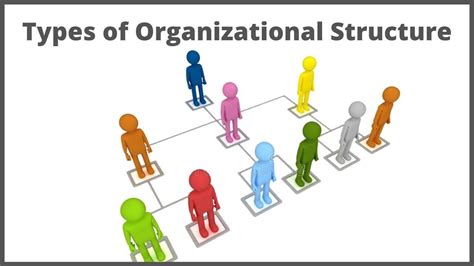 types  organizational structure  management