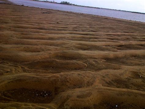 tybee national wildlife refuge beach at low tide | National wildlife ...