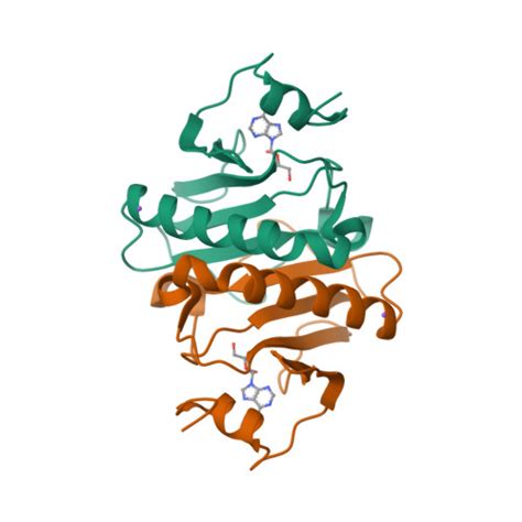 Rcsb Pdb O X High Resolution Crystal Structure Of Histidine Triad