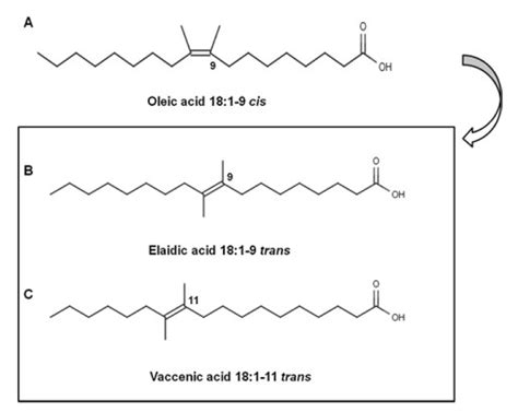 Trans Fatty Acids Encyclopedia Mdpi