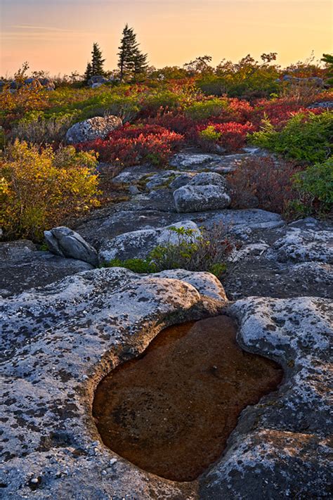 Dolly Sods Wilderness Page