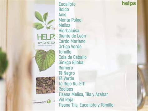 Beneficios De La Infusi N De Ortiga Para Tu Salud Y Bienestar