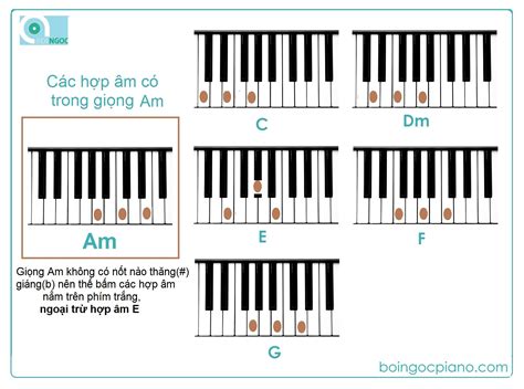 Các Hợp âm Có Trong 14 Giọng Cơ Bản Boi Ngoc Piano Official