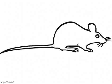 Rat Easy Coloring Page