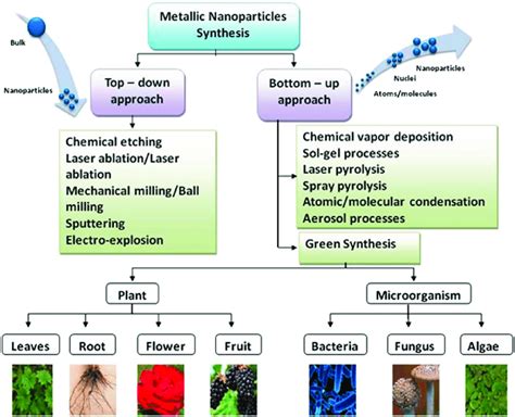 Diverse Synthetic Approaches For The Synthesis Of Nps Reproduced From