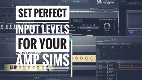 set  optimal input level  amp sim plugins   tone