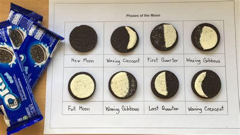 Phases Of The Moon Oreo Worksheet