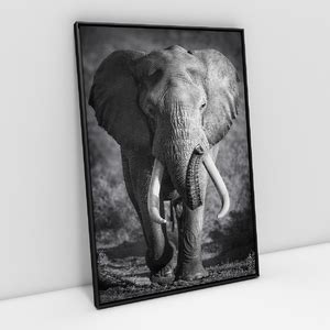 Quadro Moderno Aparador Elefante Africano Preto E Branco Decorativo