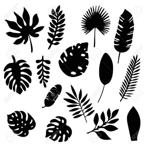 the silhouettes of different leaves and plants on a white background ...