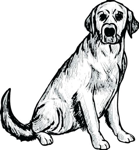 Labrador Puppy Coloring Pages at GetColorings.com | Free printable ...