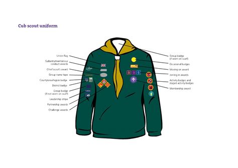 Scout Badge Positions