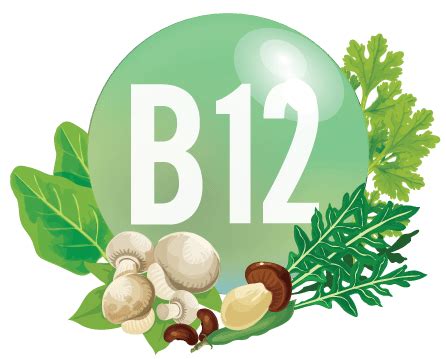 What does Vitamin B12 Cobalamin do? - Feed Me!