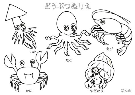 200以上 塗り絵 海の生き物 ぬりえ無料でダウンロードまたは印刷