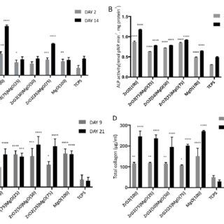 A Cell Viability And Proliferation On Zirconia And Magnesia Ceramics