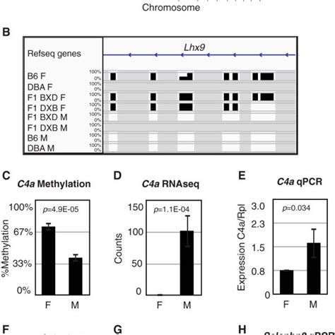 Sex Differences A Sex Specific Methylation Sites Across The Genome