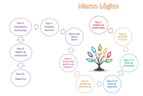 Como Hacer Un Proyecto Con La Metodologia De Marco Logico En Pasos