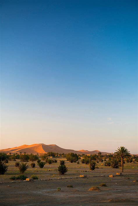 Sand Dunes Near Merzouga Erg Chebbi License Image 71029094