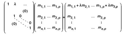 Calcul matriciel Algorithme du pivot de Gauss Conséquences